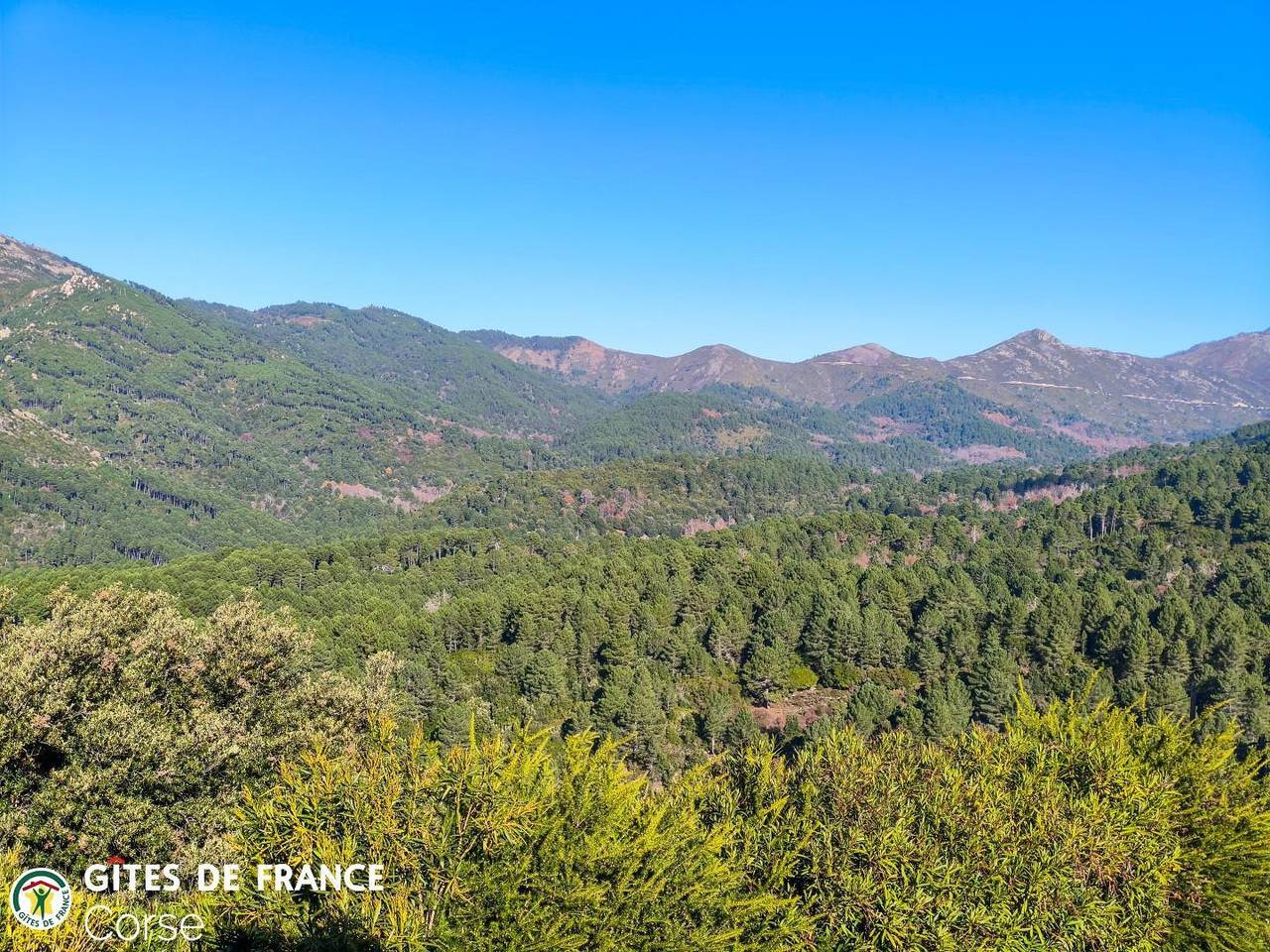 Chambre D’hôte pour 2 Personnes dans Aullène, Arrondissement de Sartène