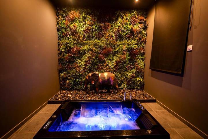 Gîte pour 2 personnes, avec jacuzzi et jardin à Berstett - 4