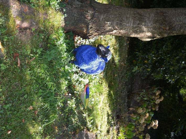 Ferienwohnung für 3 Personen, mit Garten und Balkon sowie Sauna in Tecklenburg - 3