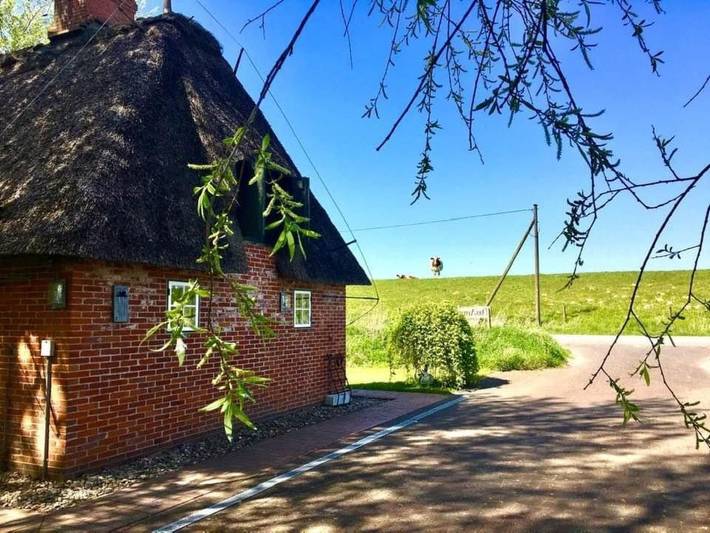 Reetdachhaus für erholsamen Familienurlaub in Norderfriedrichskoog, Eiderstedt