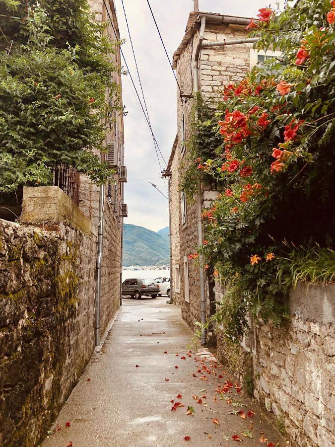 Maison d’hôte pour 2 personnes, avec sauna et jardin dans Tivat - 4