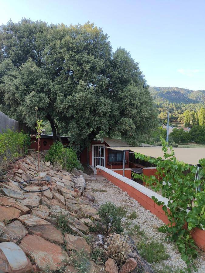 Casa rural para 4 personas, con vistas y jardín en Sierras del Segura - 2
