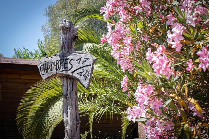 Location de vacances pour 5 personnes, avec vue et jardin, adapté aux familles à Serra-di-Ferro - 4