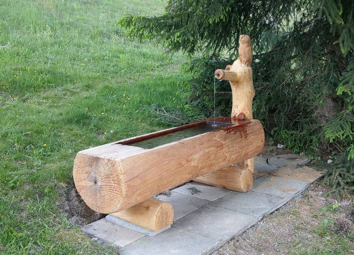 Hütte für 6 Personen, mit Garten, mit Haustier in der Schweiz - 4