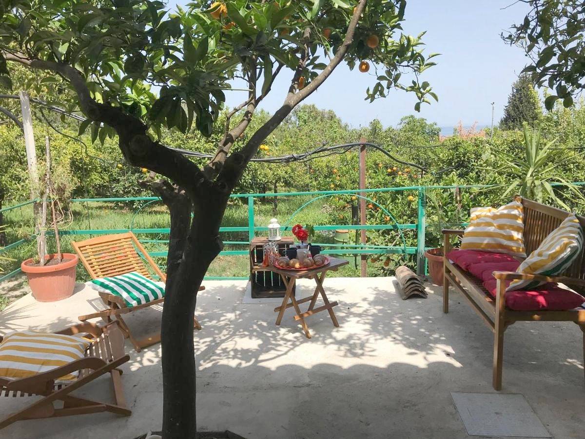 Arancetodamare_Artemide in Trebisacce, Golfo di Taranto