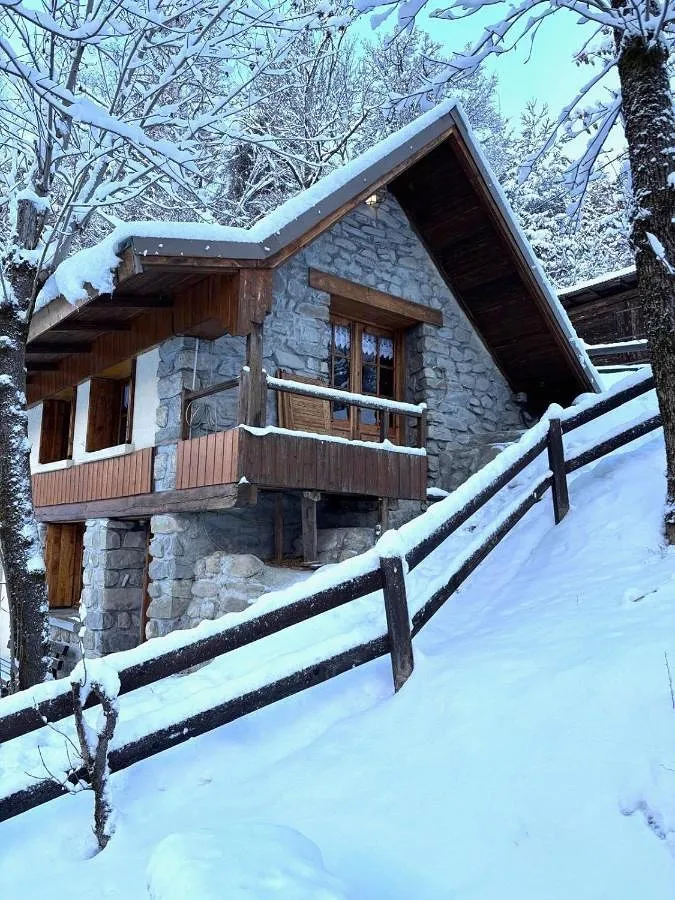 Chalet for 6 people, with terrace and view, with pets - 1