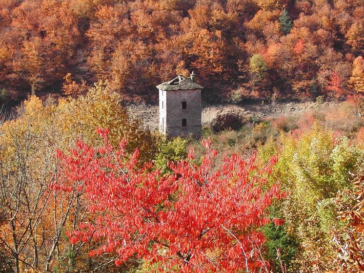 Gîte pour 6 personnes, avec vue et balcon, animaux acceptés à Villefort - 2