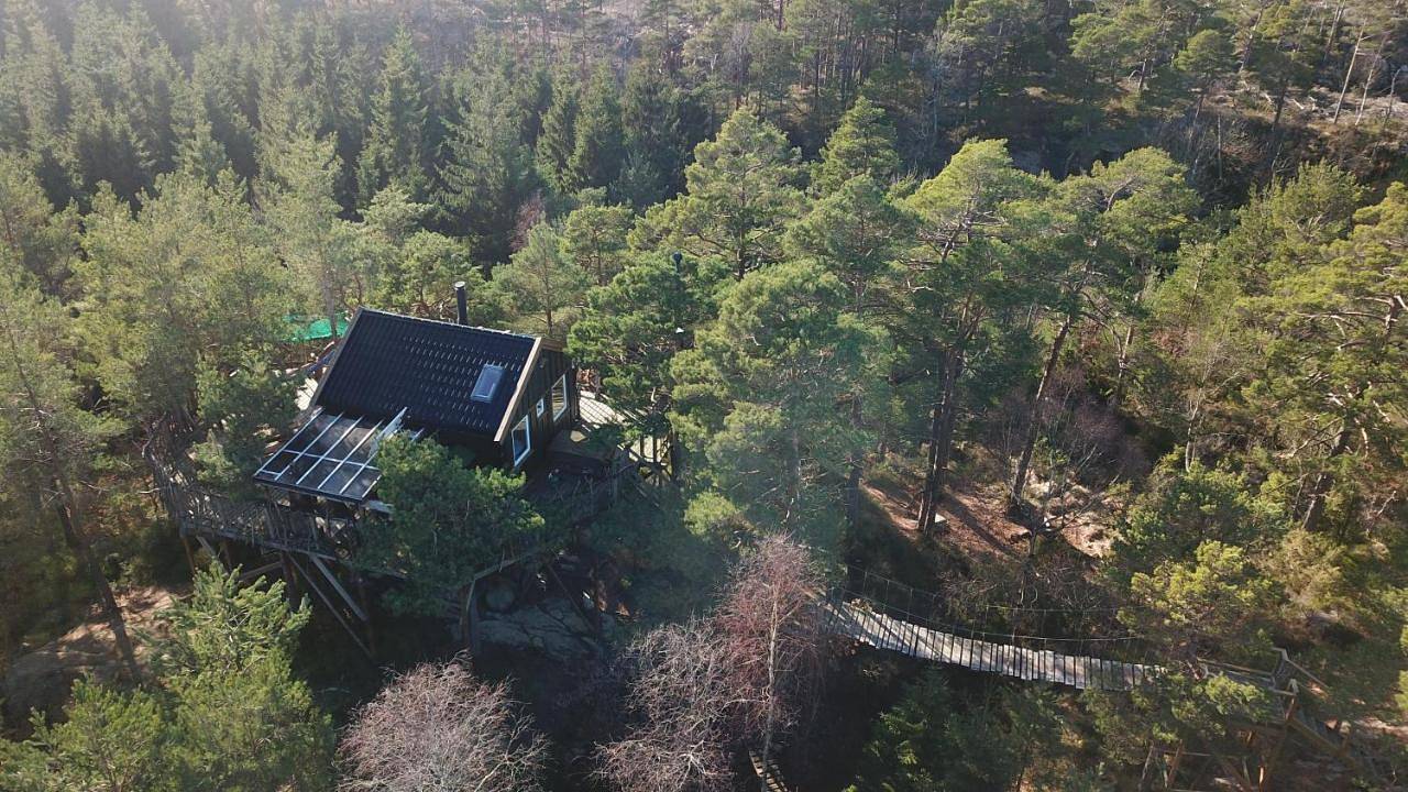 Gluba Treetop Cabins Furunåla in Mandal