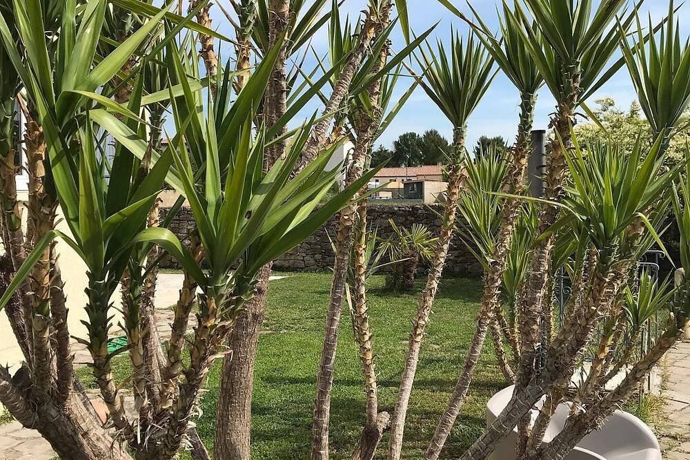 Apartamento entero, 1 Bedroom Apartment in Saint-Bauzille-de-la-Sylve in Saint-Bauzille-de-la-Sylve, Región de Lodève