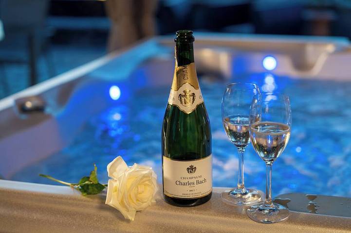 Ferienhaus für 20 Personen, mit Sauna und Pool sowie Whirlpool und Garten, mit Haustier - 1