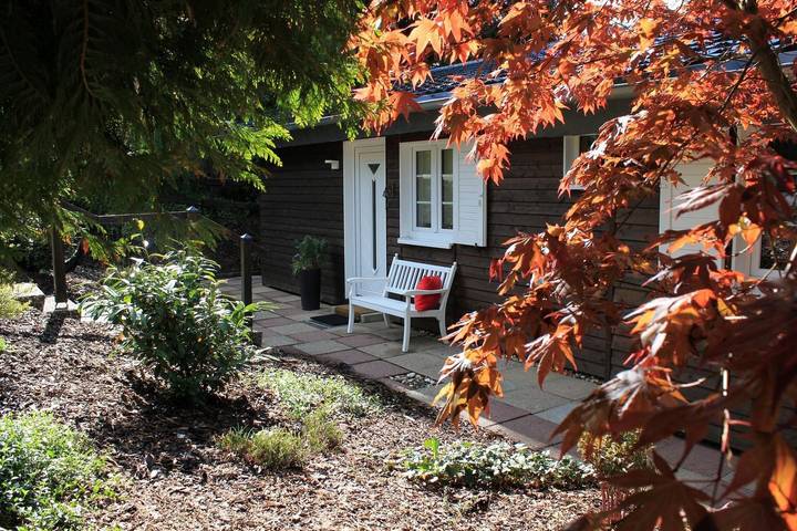 Ferienhaus für 6 Personen, mit Sauna und Garten sowie Ausblick, mit Haustier in Winterberg - 4