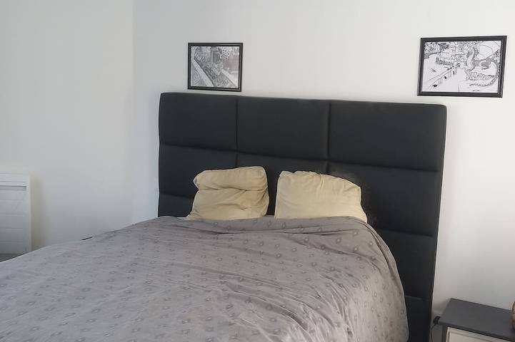 Location de vacances pour 12 personnes, avec jardin à Vertou - 4