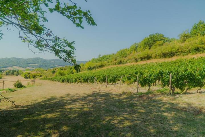 Location de vacances pour 6 personnes, avec jardin et vue à Mirabel-et-Blacons - 4