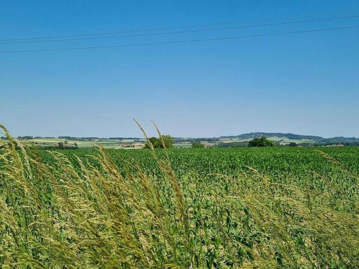 Location de vacances pour 4 personnes, avec jardin et terrasse à Méteren - 3