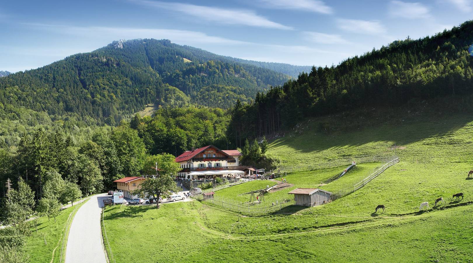 Berggasthof Hotel Duftbräu - Einzelzimmer in Samerberg, Bayerische Alpen