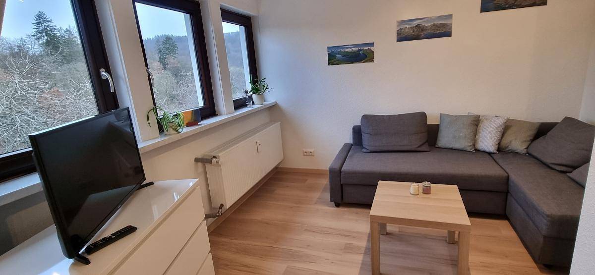Ganze Wohnung, Ferienwohnung Parkblick - Ferienwohnung Parkblick (35m2 in Bad Berleburg, Kreis Siegen-Wittgenstein