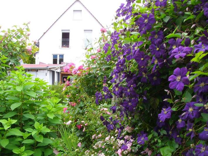 Ferienwohnung für 2 Personen, mit Terrasse im Lahntal - 3