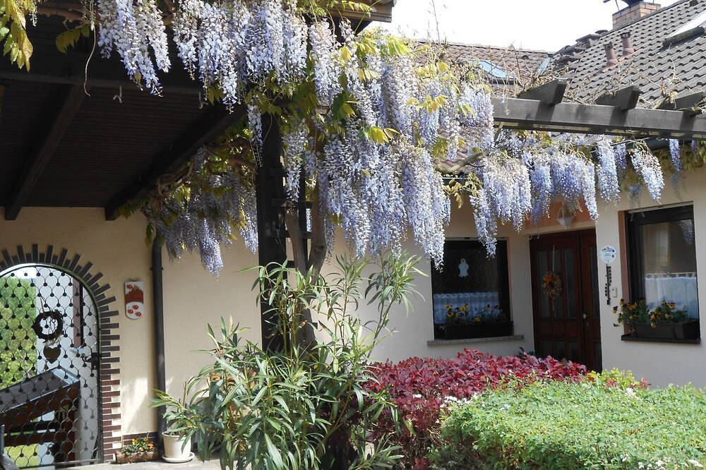 Ganze Wohnung, Komfortable Ferienwohnung (55 qm) mit Terrasse und Garten in Rödental, Oberes Maintal - Coburger Land