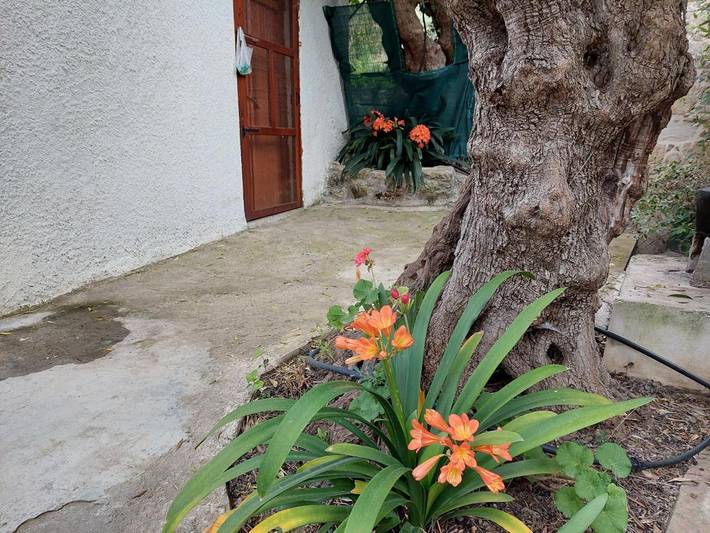 Camping für 3 Personen, mit Ausblick und Garten auf Kreta - 4