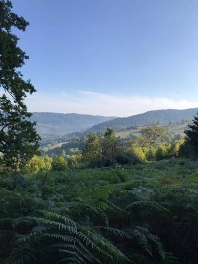Chalet pour 4 personnes, avec terrasse et vue, animaux acceptés à Basse-sur-le-Rupt - 2