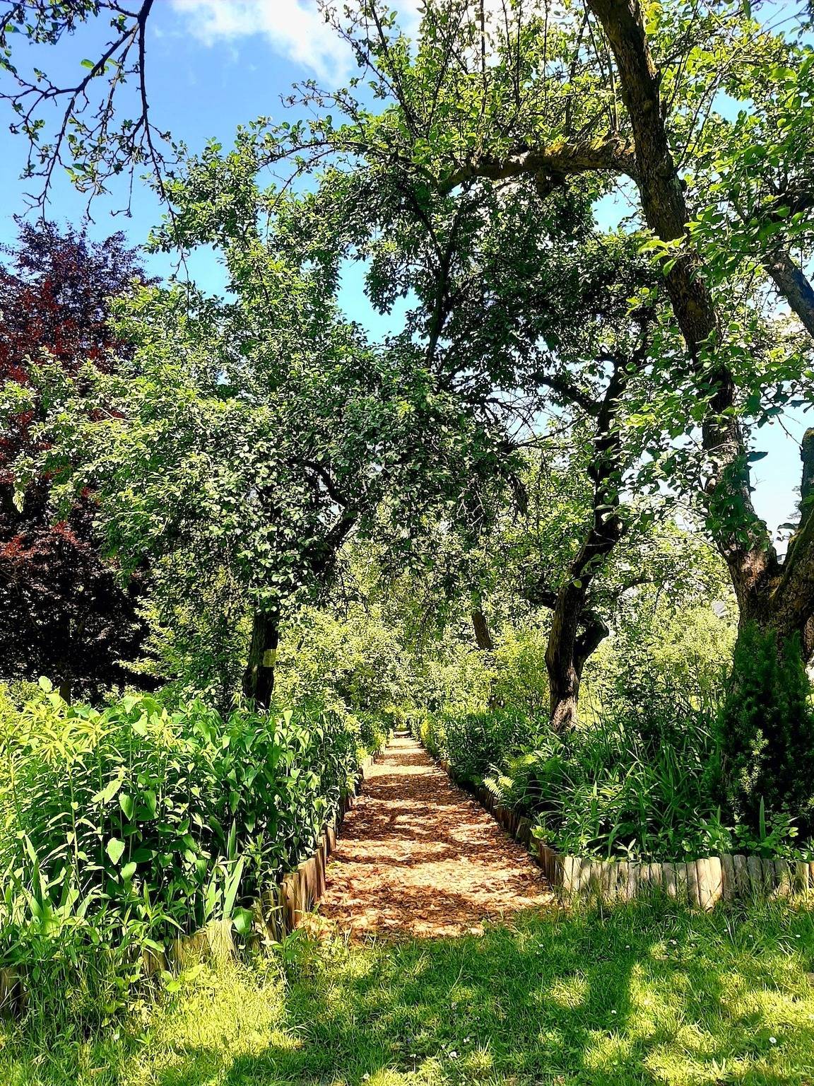 Die Malche Gäste- und Tagungshaus Villa 15 in Bad Freienwalde, Märkische Schweiz-Oderland