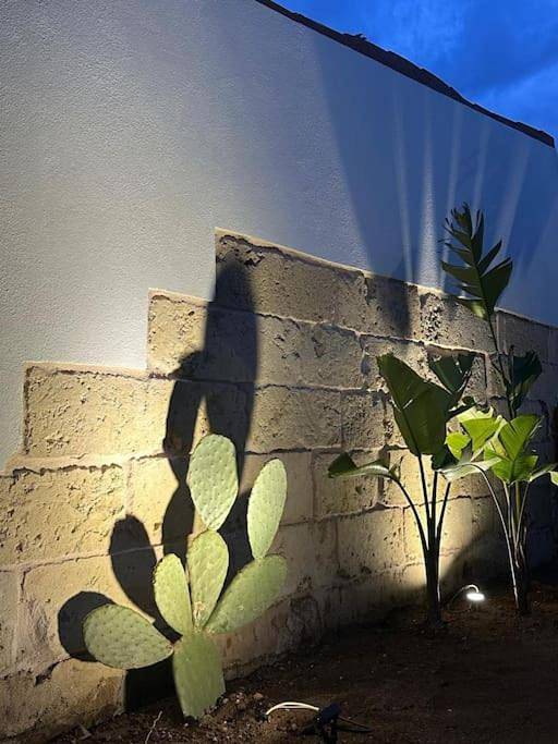 Casa vacanza per 6 persone, con giardino, con animali domestici a Ruffano