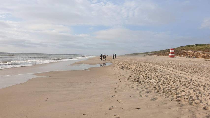 Ferienwohnung für 7 Personen, mit Whirlpool und Sauna sowie Terrasse am Ringkøbing Fjord - 2