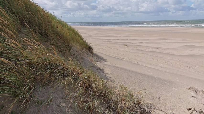 Ferienwohnung für 5 Personen, mit Terrasse in Vejers Strand - 4