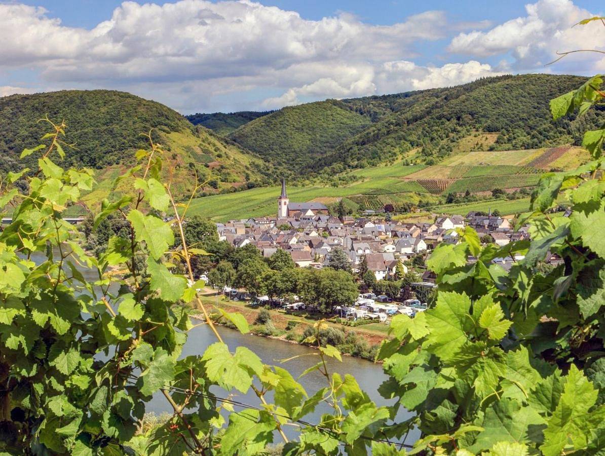 Geheel appartement, Moselhof Ferienwohnungen in Bruttig-Fankel, Cochem-Zell