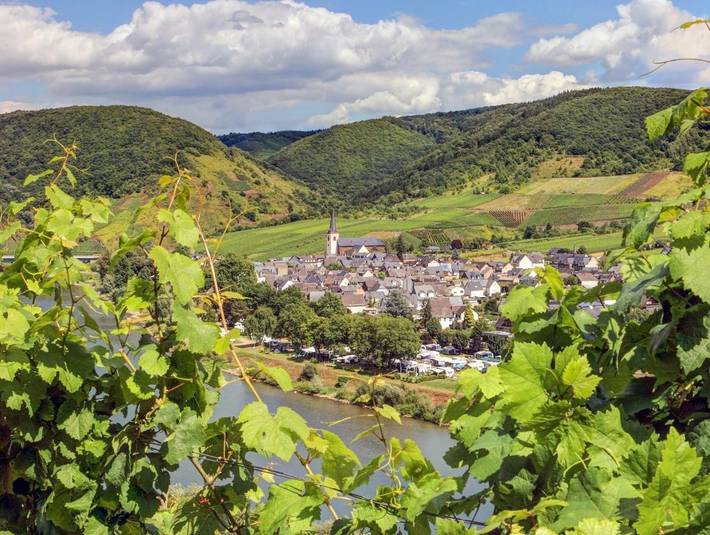 Ferienwohnung für 5 Personen, mit Garten in Bruttig-Fankel - 2