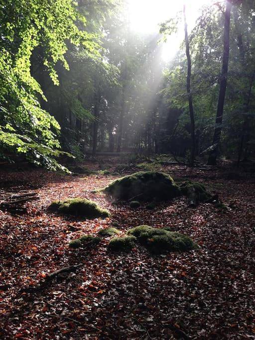 Ferienwohnung für 4 Personen, mit Garten und Ausblick in Lüneburg - 4