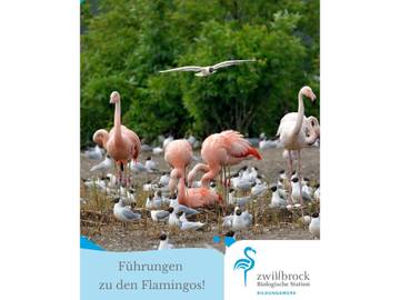 Vakantieappartement voor 7 Personen in Groenlo, Achterhoek, Afbeelding 1