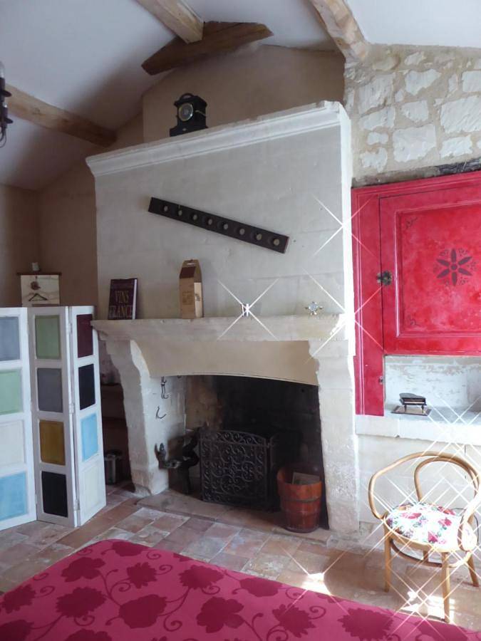 Location de vacances pour 12 personnes, avec vue ainsi que jardin et piscine à Vaudelnay - 3