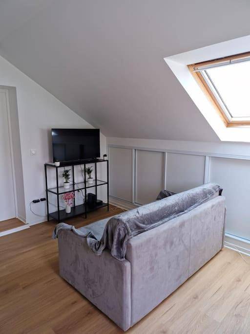 Gîte pour 4 personnes, avec terrasse, animaux acceptés à Limeil-Brévannes - 4