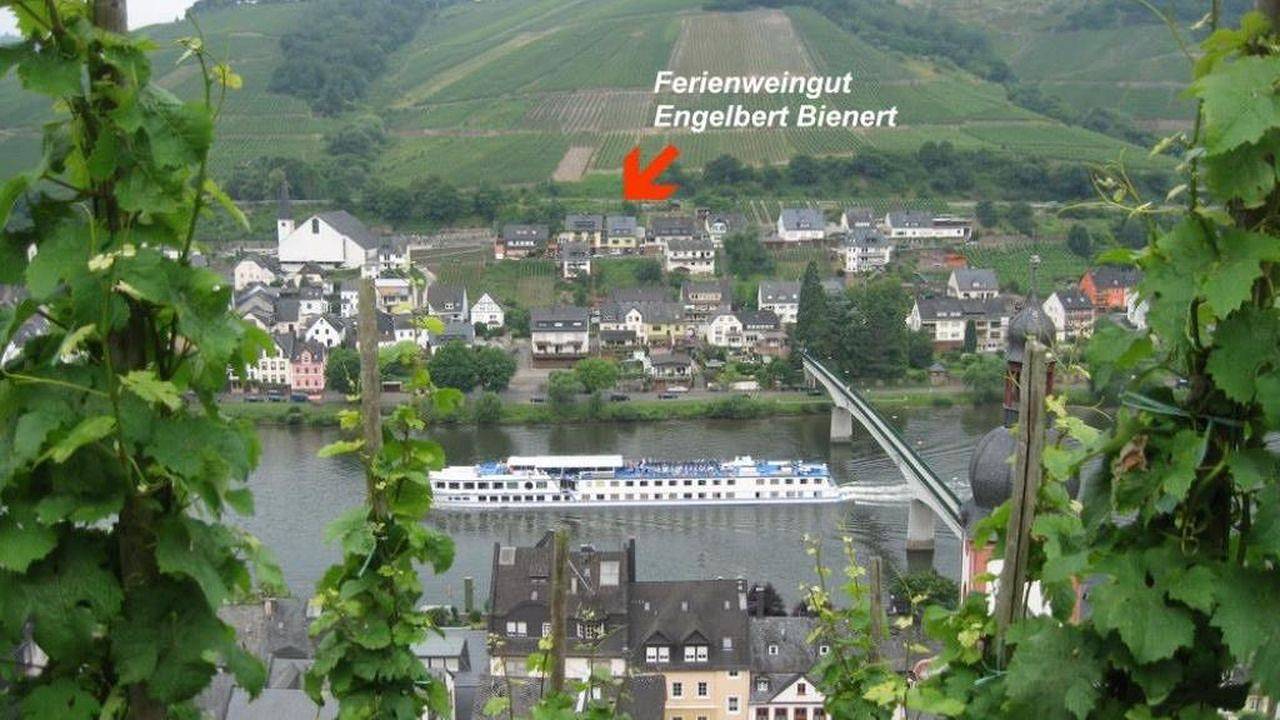 Ganze Ferienwohnung, Ferienwohnung für 2 Personen (60 m²) in Zell (Mosel) in Zell Stadt (Mosel), Zell (Mosel)