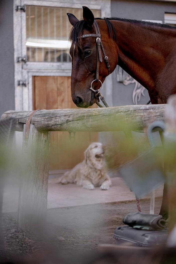 Ferienwohnung für 4 Personen - 1