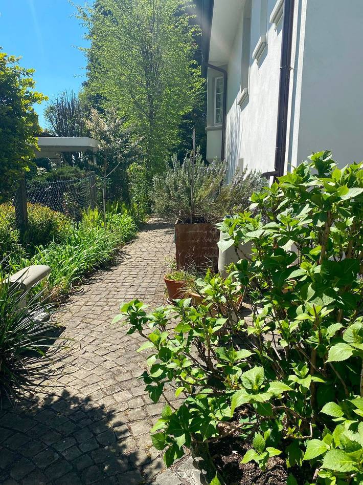 Ganze Ferienwohnung, Am See - Seeufer - Ferienwohnung, ca. 70 qm, 2 Zimmer, mit Garten und direktem Seezugang, max. 4 Personen in Friedrichshafen, Region Bodensee-Oberschwaben