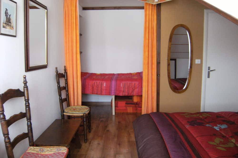 Entire apartment, Beautiful Duplex (48m2) Balcony, Superb valley view, 100m Ski slopes, classified 2 * in Saint-Lary-Soulan, Pyrenees National Park