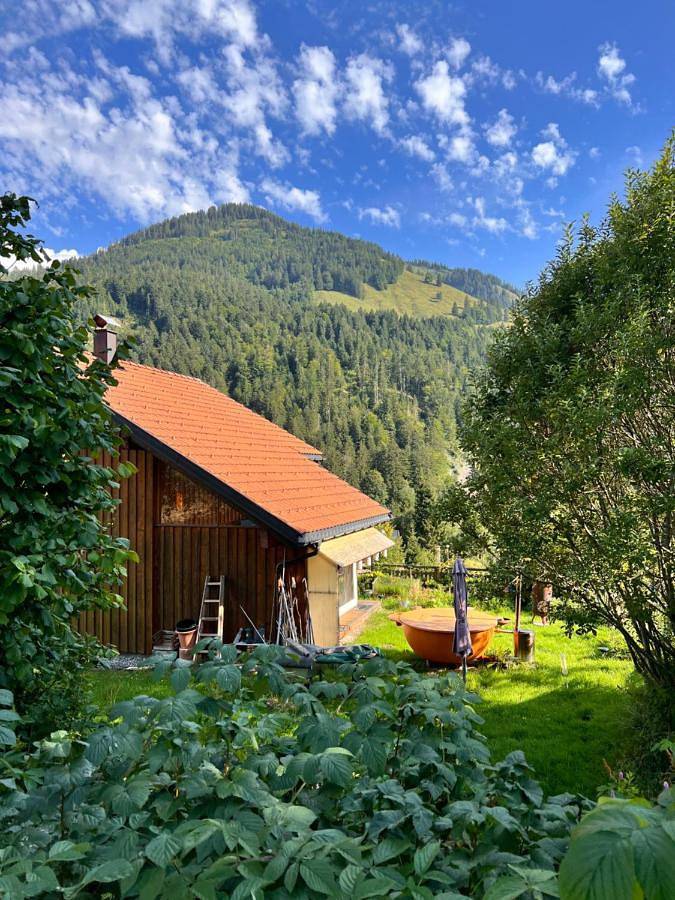 Location de vacances pour 5 personnes, avec vue et terrasse ainsi que piscine et jardin, animaux acceptés à Dornbirn - 4