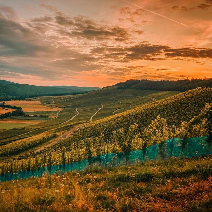 Ferienwohnung für 4 Personen, mit Ausblick und Garten in Lieser - 2