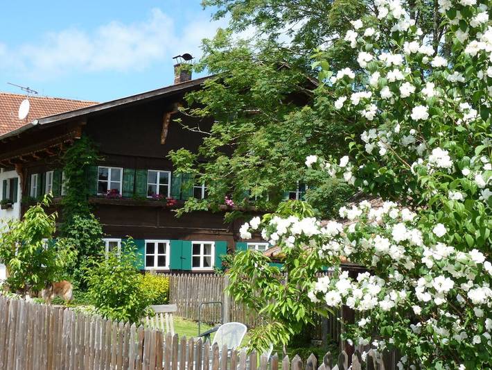 Ferienwohnung Immergrün in Görisried, Bayerisch Schwaben