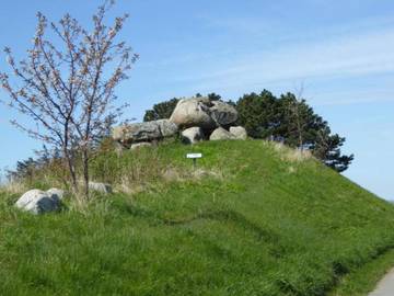 Ferienhaus für 4 Personen in Borre (Vordingborg), Møn, Bild 4