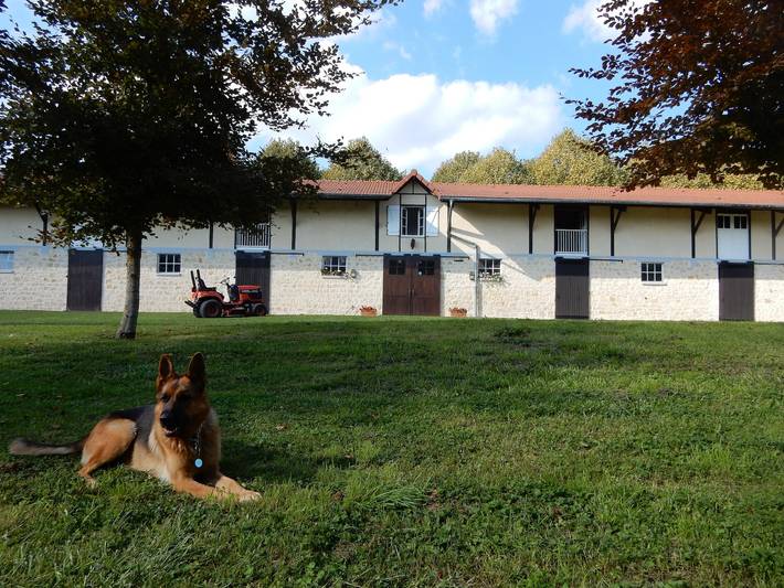 Maison de vacances pour 11 personnes, avec Jardin dans Marne