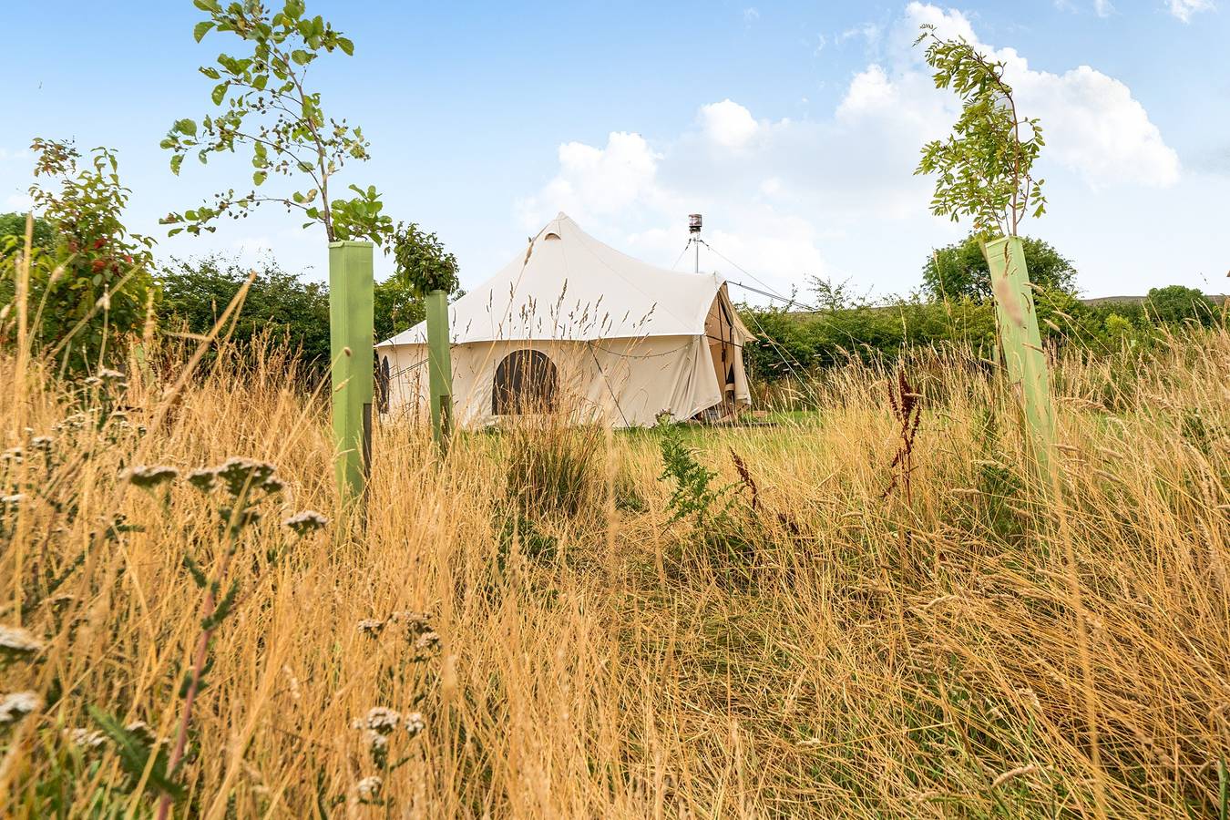Glamping for 4 People in North Yorkshire, Yorkshire