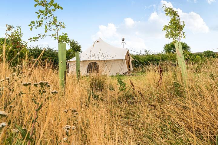 Tipi for 4 people, with garden in England