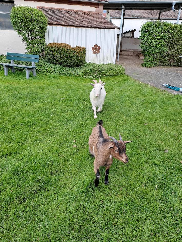 Ganze Ferienwohnung, Appartementanlage Marianne - Ferienwohnung 4 in der ersten Etage in Merkendorf, Fränkisches Seenland