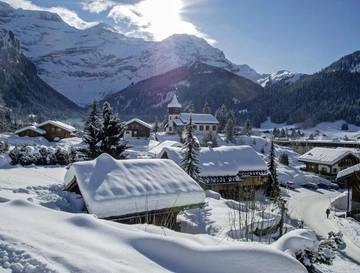 Gîte pour 6 personnes, avec vue et jardin dans Les Diablerets