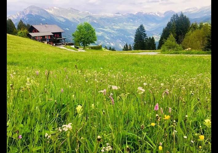 Maison d’hôte pour 2 personnes, avec terrasse ainsi que vue et jardin, animaux acceptés dans Région de Grisons - 2
