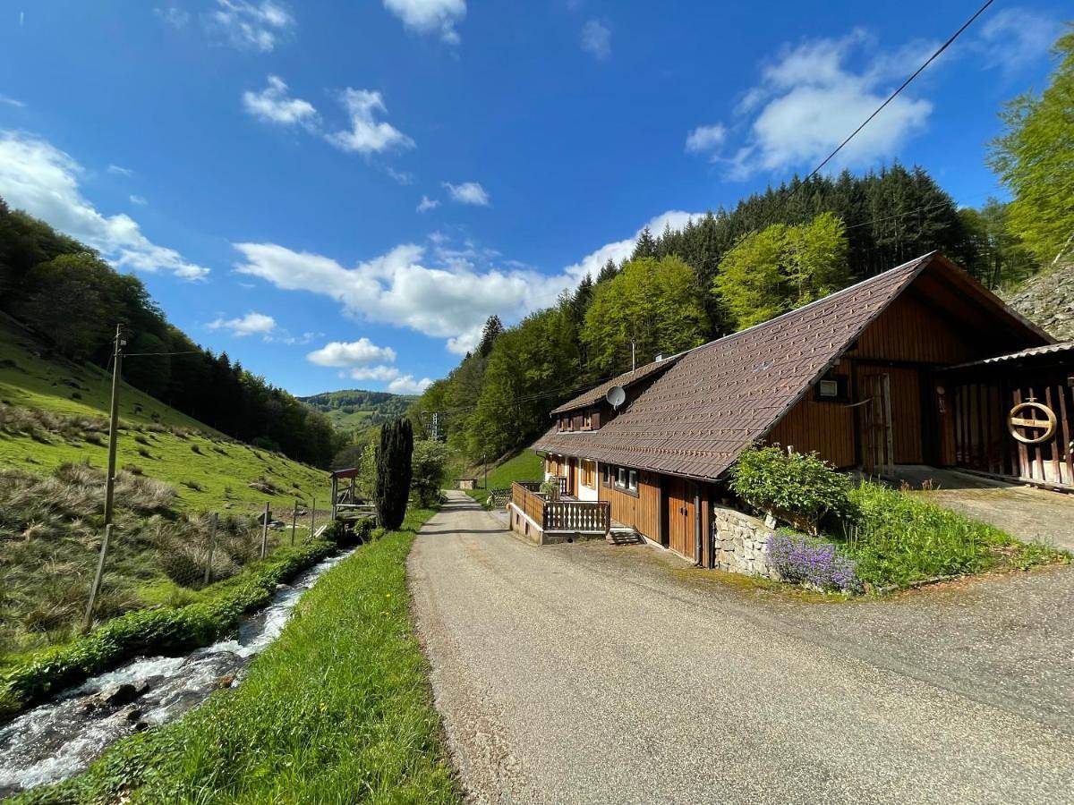 Bauernhaus im Münstertal in Obermünstertal, Münstertal