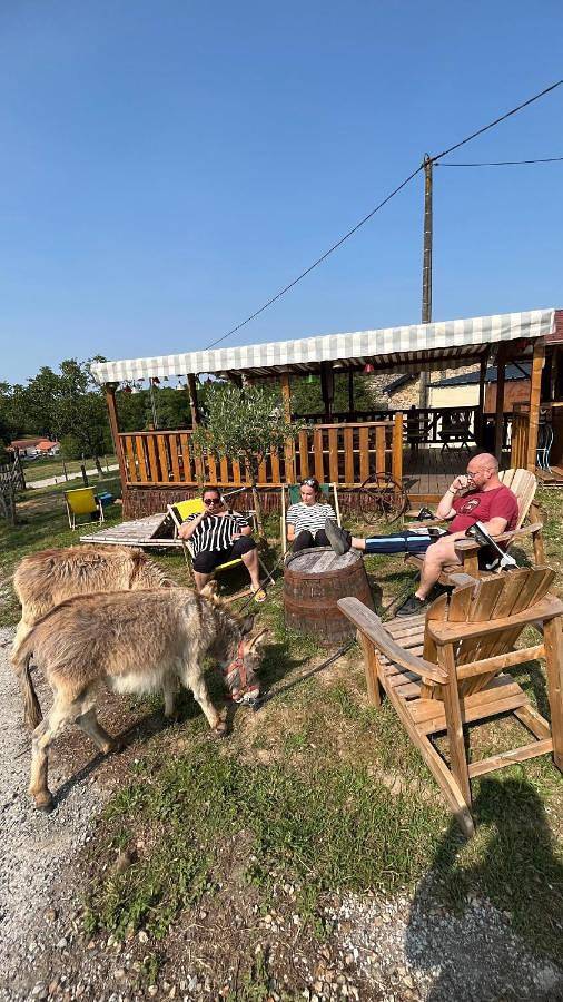 Tente Au Plus Proche Des Ânes in Bressuire, Deux-Sèvres